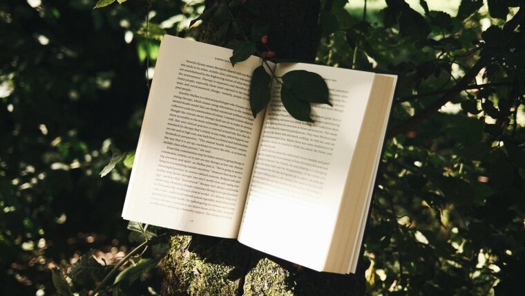 Picture of a book in nature